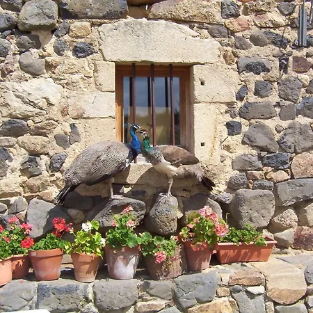 住宿加早餐酒店 奥博格莱斯利阿德斯酒店