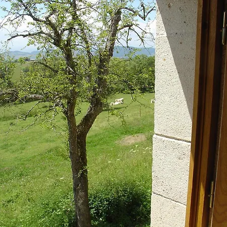 奥博格莱斯利阿德斯酒店 *